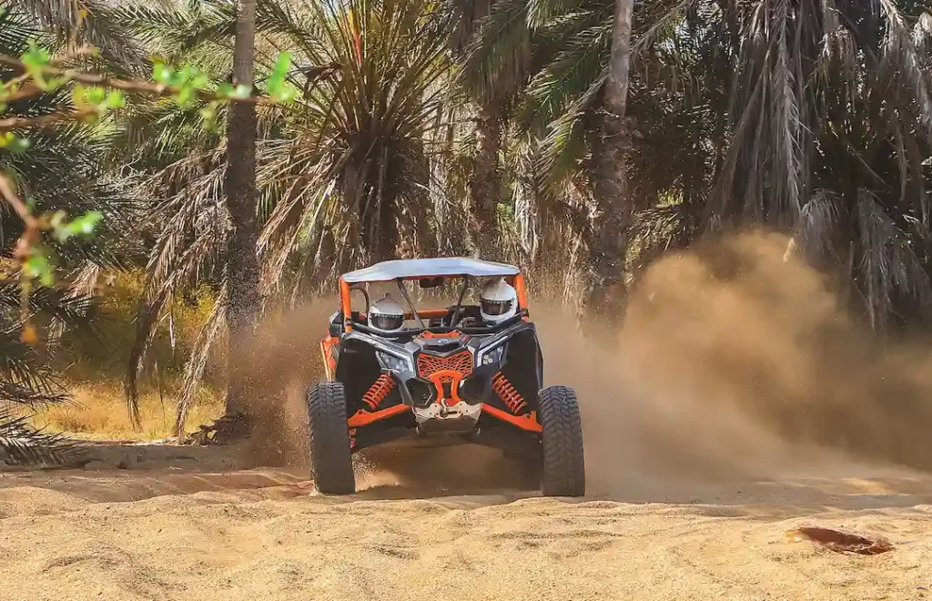 Two people driving a UTV through a sandy trail surrounded by palm trees in Cabo San Lucas