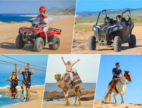 Collage of adventure activities including an ATV on the beach, UTV on desert trails, zipline by the ocean, camel ride, and horseback riding in the desert.
